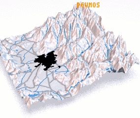 3d view of Peumos