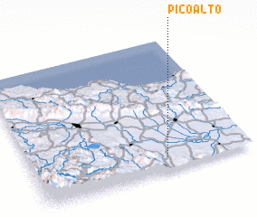 3d view of Pico Alto