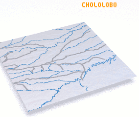 3d view of Chololobo