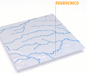 3d view of Pedro Chico