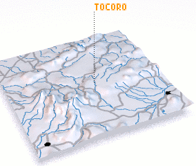 3d view of Tocoro