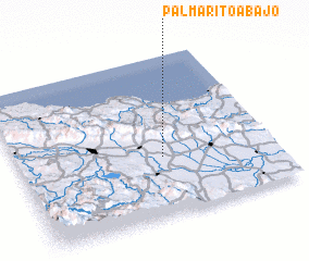 3d view of Palmarito Abajo