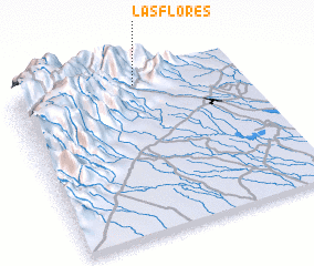 3d view of Las Flores