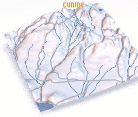 3d view of Cunine