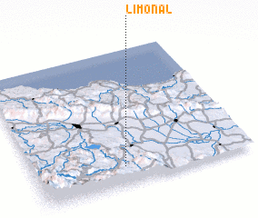 3d view of Limonal