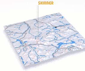 3d view of Skinner