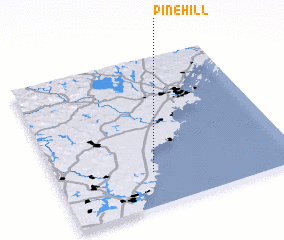 3d view of Pine Hill