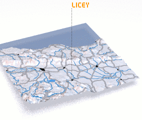 3d view of Licey