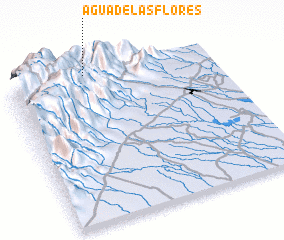 3d view of Agua de Las Flores