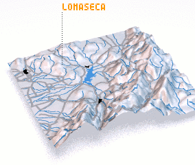 3d view of Loma Seca