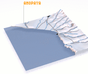 3d view of Amopaya