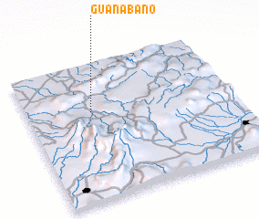 3d view of Guanábano