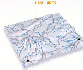 3d view of Las Flores