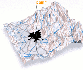 3d view of Paine