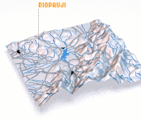 3d view of Río Paují