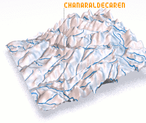 3d view of Chañaral de Carén