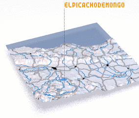 3d view of El Picacho de Mongo