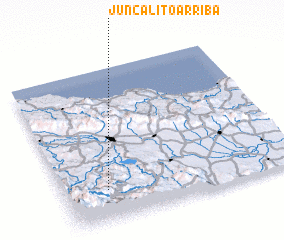 3d view of Juncalito Arriba
