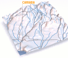 3d view of Camiara