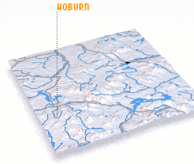 3d view of Woburn