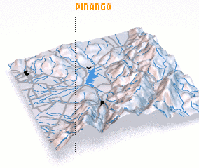 3d view of Piñango