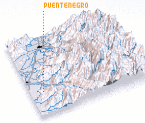 3d view of Puente Negro