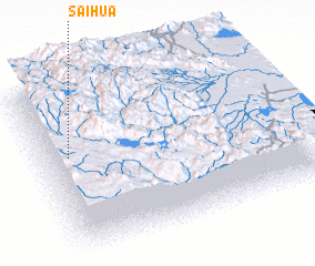 3d view of Saihua