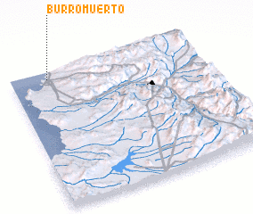 3d view of Burro Muerto