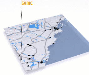 3d view of Gonic