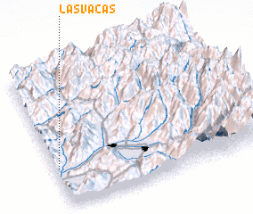 3d view of Las Vacas