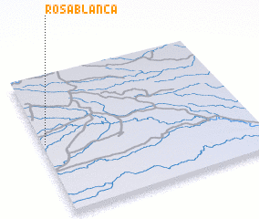 3d view of Rosa Blanca