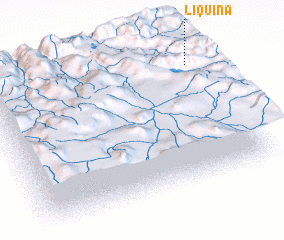 3d view of Liquina