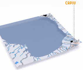 3d view of Capiú