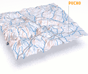 3d view of Pucho