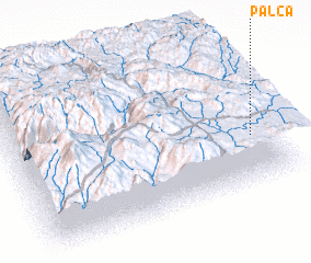 3d view of Palca