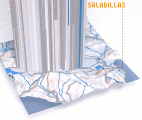 3d view of Saladillas