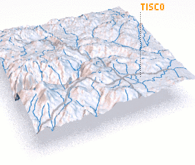 3d view of Tisco