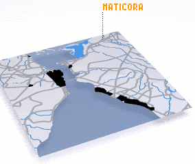 3d view of Matícora