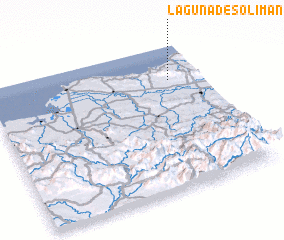 3d view of Laguna de Solimán