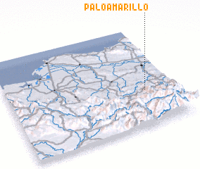 3d view of Palo Amarillo