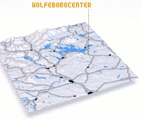 3d view of Wolfeboro Center