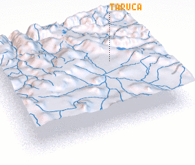 3d view of Taruca