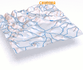 3d view of Chuñuma