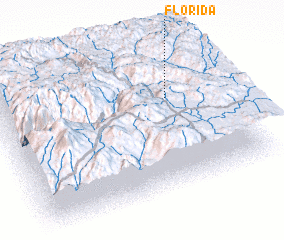 3d view of Florida