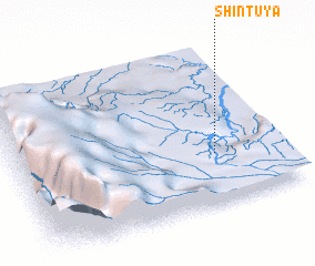 3d view of Shintuya