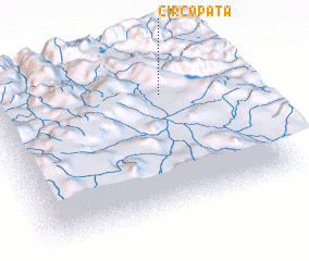 3d view of Circopata