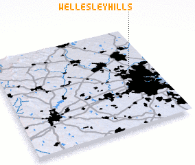 3d view of Wellesley Hills