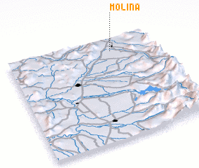 3d view of Molina