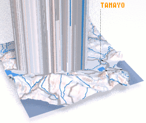 3d view of Tamayo