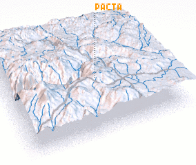 3d view of Pacta